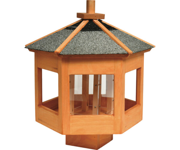 Bird Feeder