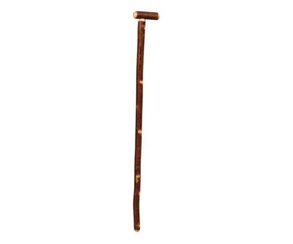 Cane